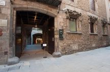 Picasso Museum & Private Walking Tour of Born or Gothic Quarter
