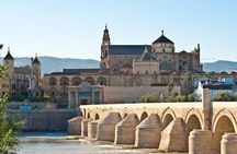 Private 3-hour Walking Tour of Cordoba with official tour guide