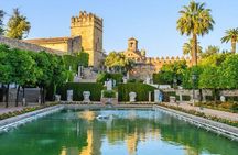 Private 3-hour Walking Tour of Cordoba with official tour guide