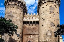 Private 4-hour Walking Tour of Valencia with official tour guide