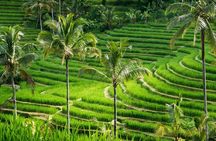 Private tour- UNESCO rice terraces, Ulundanu Beratan, Batukaru, Tanah lot temple