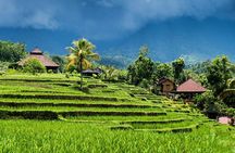 Private tour- UNESCO rice terraces, Ulundanu Beratan, Batukaru, Tanah lot temple