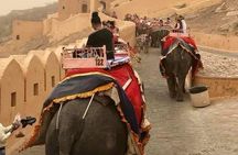 4Days 5 night golden triangle tour By Car