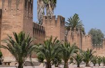 Ali Baba Oasis And The Old Medina Of Taroudant Private Day Tour 