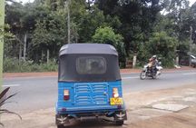 Private Tuk Tuk Colombo City Tours