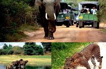 Colombo to Kandy,Ella & Yala 3 Day Tour