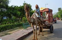 1Night & 2Days Agra & Jaipur Transportation with local guiding experience