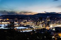 Oslo Like a Local: Customized Private Tour