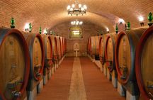Pagus Wine Tours® - Two Amarone wineries - Half day wine tour