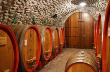 Pagus Wine Tours® - Valpolicella and Amarone with lunch full day wine tour