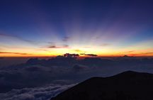 Batur Volcano Sunrise Trekking, Rice Teracce & Bali Coffee Plantation Tour