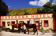 Cardrona High Country Pub Trail Horse Riding Trek (Adventurous)