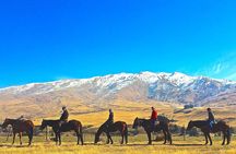 Cardrona High Country Pub Trail Horse Riding Trek (Adventurous)