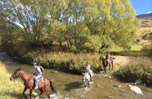 Beginner/Child friendly Gold Discovery Trail Horse Trek Cardrona