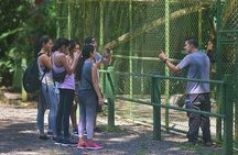Wildlife Rescue Center Tour in Costa Rica