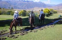Private Tour: Maras Moray Visit and Peruvian Paso Horseback Riding