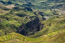 2-Day Group Tour to Colca Canyon from Arequipa