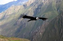 2-Day Group Tour to Colca Canyon from Arequipa