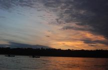 3-Day Amazon Jungle Tour at Refugio Amazonas in Puerto Maldonado