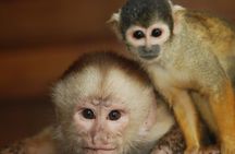 4-Day Amazon Jungle Tour at Eco Amazonia Lodge