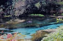 Explore The Lakes Tour