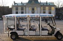 City Tour by electric car- Krakow
