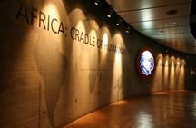 Cradle of Humankind World Heritage Site 