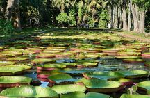 Discovering the North of Mauritius: Full-day incl Botanical garden & lunch 