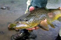 Private Lake and River Fishing Tour from Reykjavik