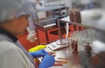 Santoña: Anchovy Factory & Boat Trip with tickets-small groups