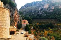 Cedars, Bsharre & Kozhaya Day Tour