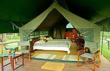 Animal Migration Safaris , Destination - Kenya