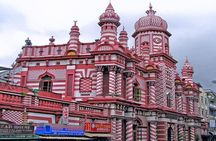 Tuk Tuk Tours From Colombo Port Passenger Dock Shore Excursions.