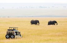 6 Days Budget Tanzania Camping Safari