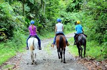 Horseback Ride to La Fortuna Waterfall