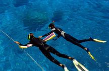 Great Barrier Reef Cruise from Townsville or Magnetic Island