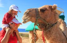 Camel Ride & Encounter at Los Cabos