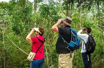 Private Birdwatching Tour