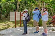 Private Tour: Birdwatching Playa del Carmen