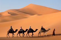 Morning Dubai Quad Bike with Sand boarding and Camel ride 