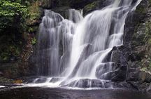 Ring of Kerry Day Tour from Limerick: Including Killarney National Park