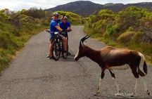 Private Cycling Tour to Cape Point from Cape Town