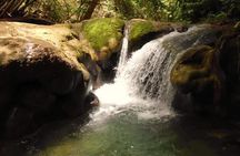 Mayfield Falls nature walk