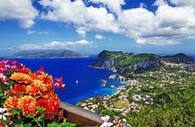 Small Group: Capri & Anacapri - Guided Tour