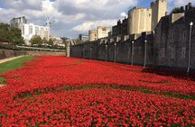 Tower of London Private Guided Tour