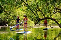 Byron Stand Up Paddle Nature Tour