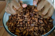 Cocoa farm and Chocolate making!