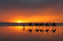 From Taghazoute : 2 Hours Agadir Camel Ride With Transfers and Tea Break