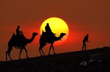 From Taghazoute : 2 Hours Agadir Camel Ride With Transfers and Tea Break