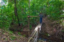 Family-Friendly Rappelling at Bocawina Falls